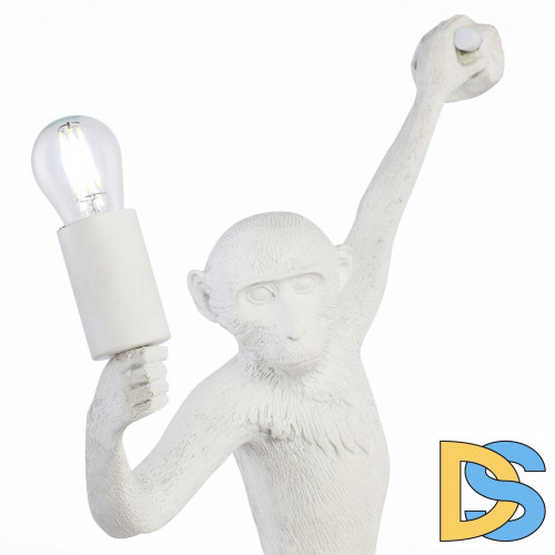 Бра Evoluce Tenato SLE115111-01