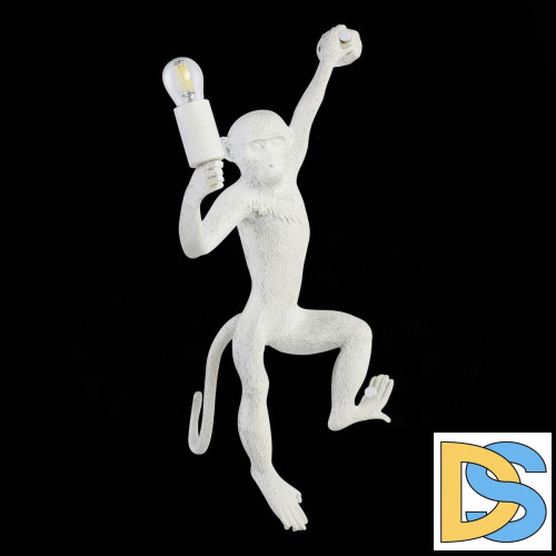 Бра Evoluce Tenato SLE115111-01