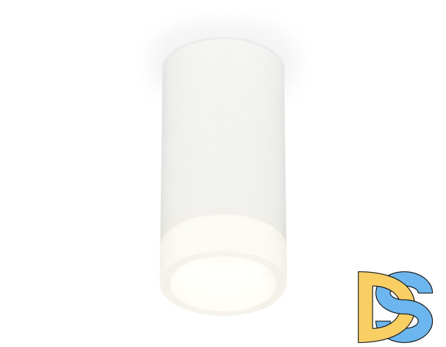 Потолочный светильник Ambrella Light Techno Spot XS8161002 (C8161, N8401)