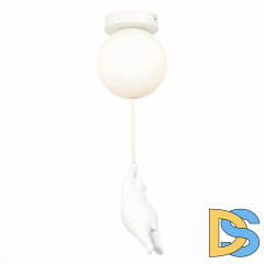 Потолочный светильник Evoluce Modena SLE115402-01