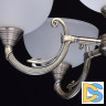 Подвесная люстра MW-Light Олимп 318011205