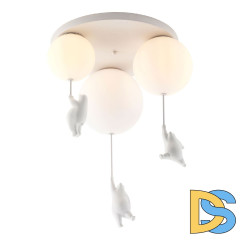 Потолочная люстра Lussole LSP-8904