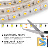 Комплект светодиодной ленты Apeyron 12В 144Вт/м smd 5050 60 д/м IP20 1м 3000К (блок, коннектор) 10-68
