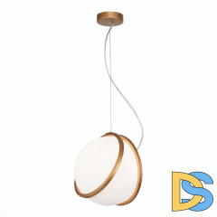 Подвесной светильник ST Luce Acerra SL1181.353.01