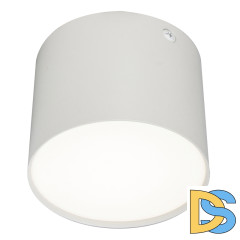 Потолочный светильник 20004 20004SMU/01LED SWH