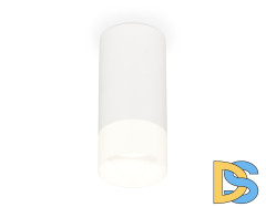 Потолочный светильник Ambrella Light Techno Spot XS8161003 (C8161, N8402)