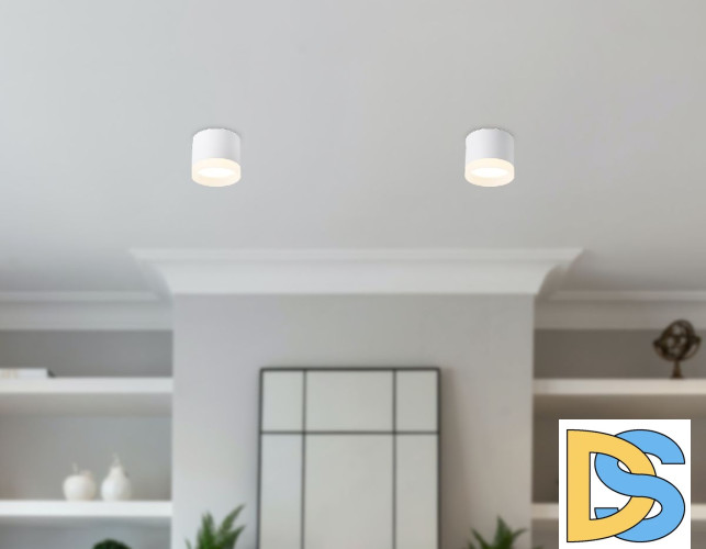 Накладной светильник Ambrella Light Acrylic Frost TN5365