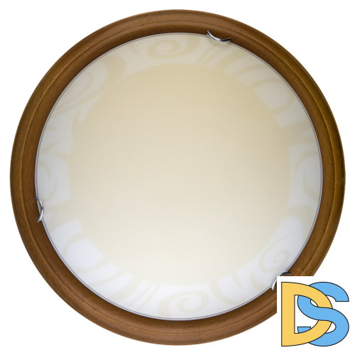 Настенно-потолочный светодиодный светильник Toplight Ginger TL9620Y-00OA