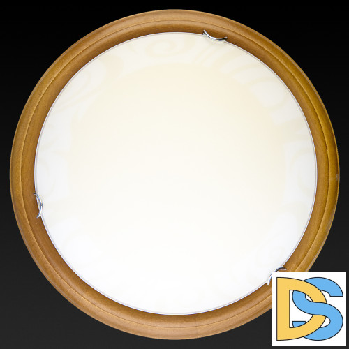 Настенно-потолочный светодиодный светильник Toplight Ginger TL9620Y-00OA