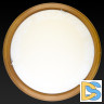 Настенно-потолочный светодиодный светильник Toplight Ginger TL9620Y-00OA