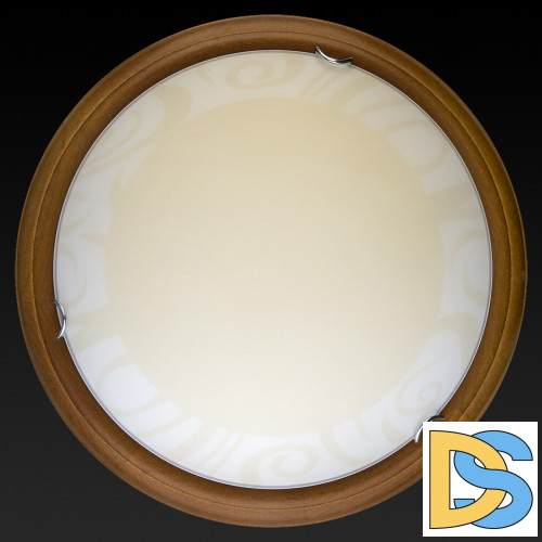 Настенно-потолочный светодиодный светильник Toplight Ginger TL9620Y-00OA