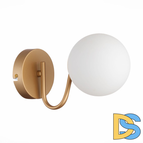 Бра Evoluce Calabria SLE220601-01