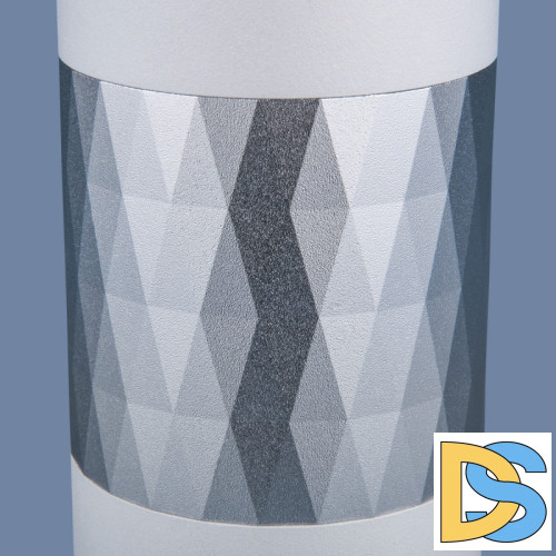 Накладной светильник Elektrostandard DLN110 GU10 белый/серебро