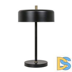 Настольная лампа Arte Lamp Skat A7052LT-2BK