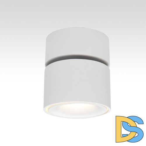 Спот Citilux CL558010N