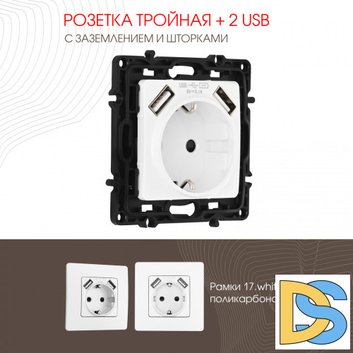 Розетка с заземлением, шторками + 2 USB Arte Milano 217.47-1.white