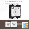 Розетка с заземлением, шторками + 2 USB Arte Milano 217.47-1.white