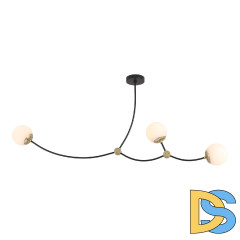 Подвесной светильник Lussole LSP-8913