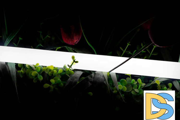 Светодиодная лента SWG 2835 360 LED/м 16 Вт/м 24В 4000K IP66 013284