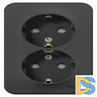 Розетка 2-ая с/з со шторками 16А,250В, изолир пластина Schneider Blanca Антрацит