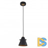Подвесной светильник F-Promo Rigor 2844-1P