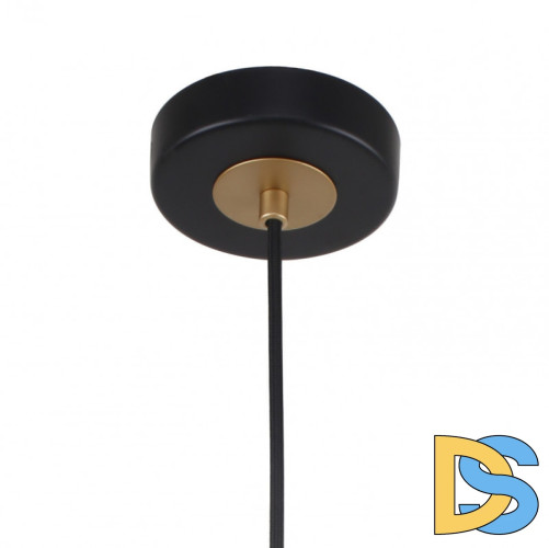 Подвесной светильник F-Promo Rigor 2844-1P