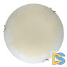 Настенно-потолочный светодиодный светильник Toplight Ginger TL9620Y-00WH