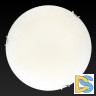 Настенно-потолочный светодиодный светильник Toplight Ginger TL9620Y-00WH