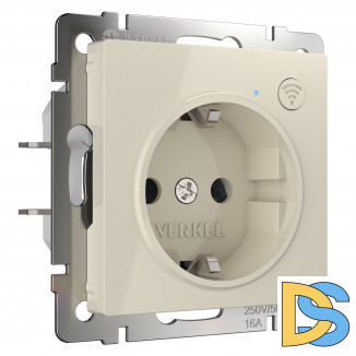 Умная встраиваемая розетка с заземлением с защитными шторками W1171603