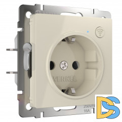 Умная встраиваемая розетка с заземлением с защитными шторками W1171603