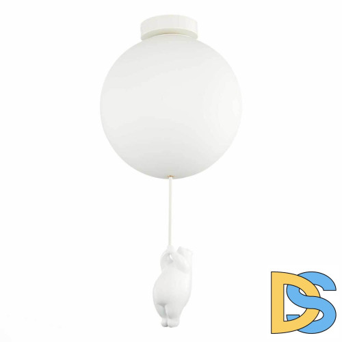 Потолочный светильник Evoluce Modena SLE115412-01