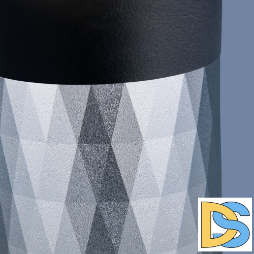 Накладной светильник Elektrostandard DLN110 GU10 черный/серебро