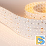 Светодиодная лента Arlight S2-A560-85mm 24V Warm3000 (40 W/m, IP20, 2835, 2.5m) 021211(2)