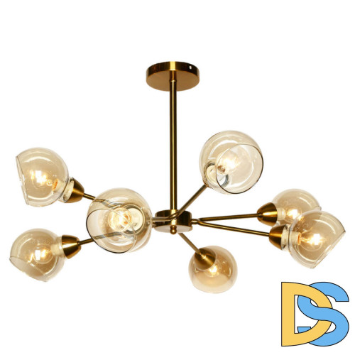 Подвесная люстра Lussole LGO MONTANA GRLSP-8208