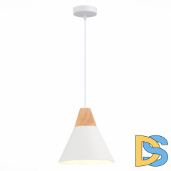 Подвесной светильник Evoluce Modica SLE125103-01