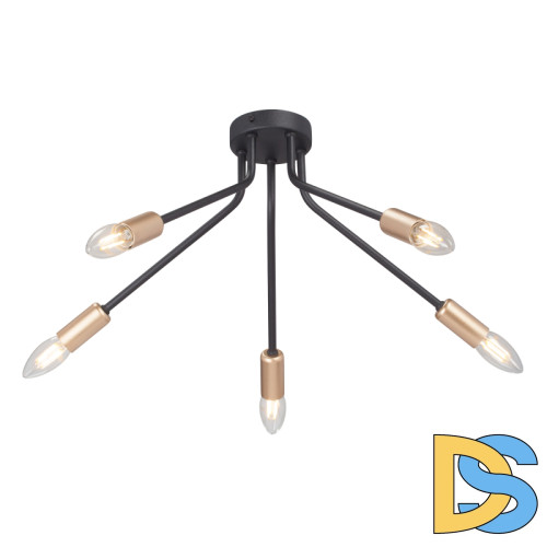 Потолочная люстра Vitaluce V3020-1/5PL