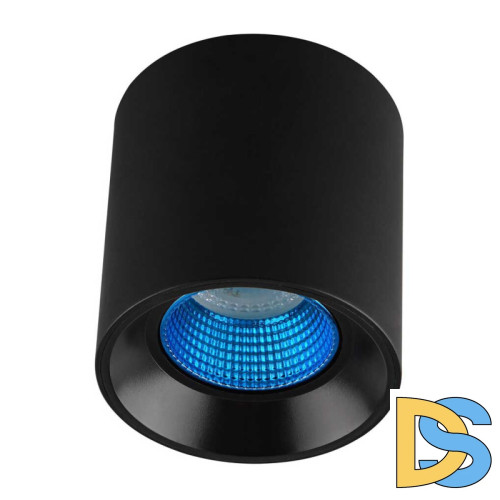 Накладной светильник Denkirs DK3090-BK+CY