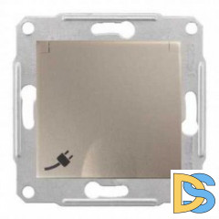 Розетка 1-ая электрическая, с заземлением и крышкой, защитными шторками, Титан, серия Sedna, Schneider Electric