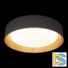 Потолочный светильник Loft IT Coin 10202 Grey