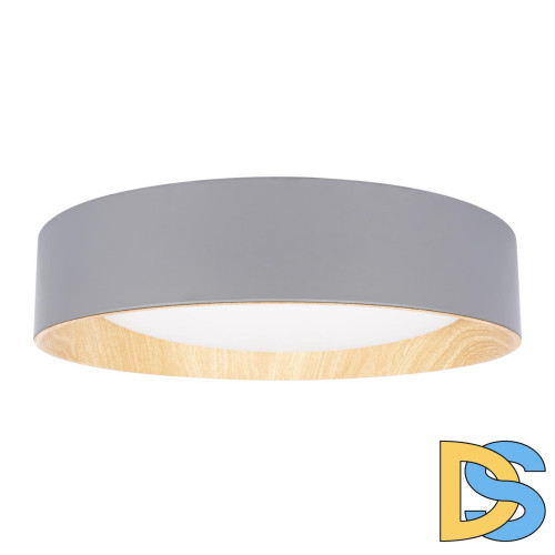 Потолочный светильник Loft IT Coin 10202 Grey