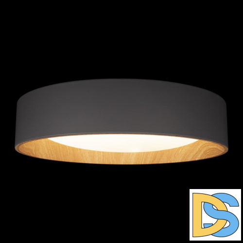 Потолочный светильник Loft IT Coin 10202 Grey