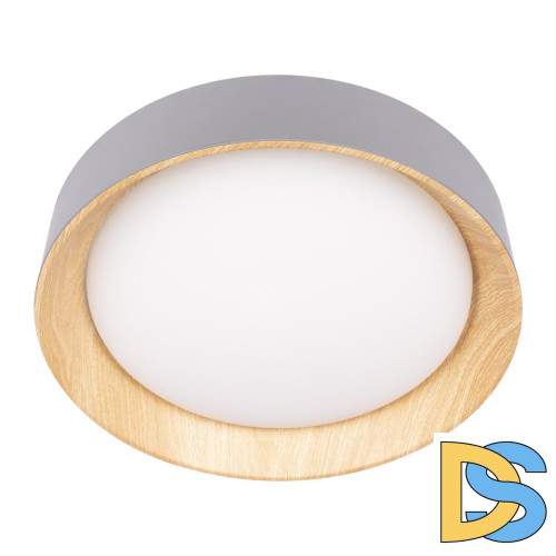 Потолочный светильник Loft IT Coin 10202 Grey