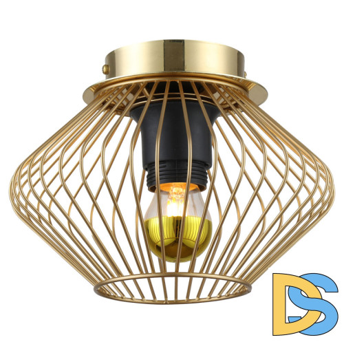 Накладной светильник Lussole Loft Brooks LSP-8248