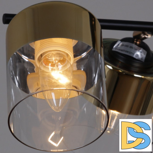 Люстра на штанге Reluce 11555-0.3-06 BK+FGD