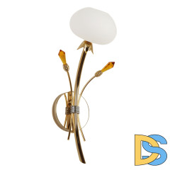 Бра Abrasax 6498-А1.11