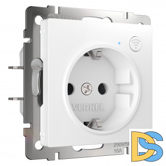 Умная  встраиваемая розетка с заземлением с защитными шторками W1171601