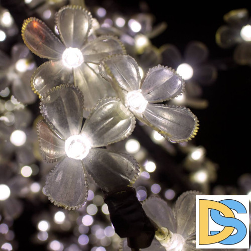 Светодиодная лампа Gauss Basic G4 2W 3000K 1169712