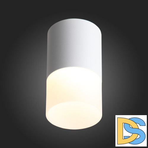 Накладной светильник ST Luce ST100.502.10