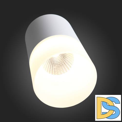 Накладной светильник ST Luce ST100.502.10