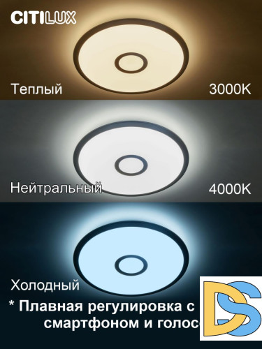 Накладной светильник Citilux CL703A31G